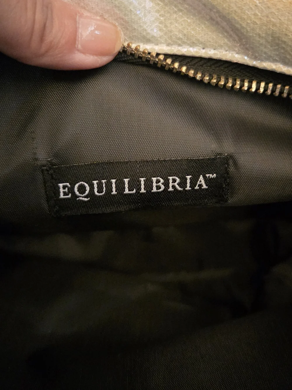 Equilibria Metallic Champagne Gold Iridescent Textured Zip Clutch Pouch